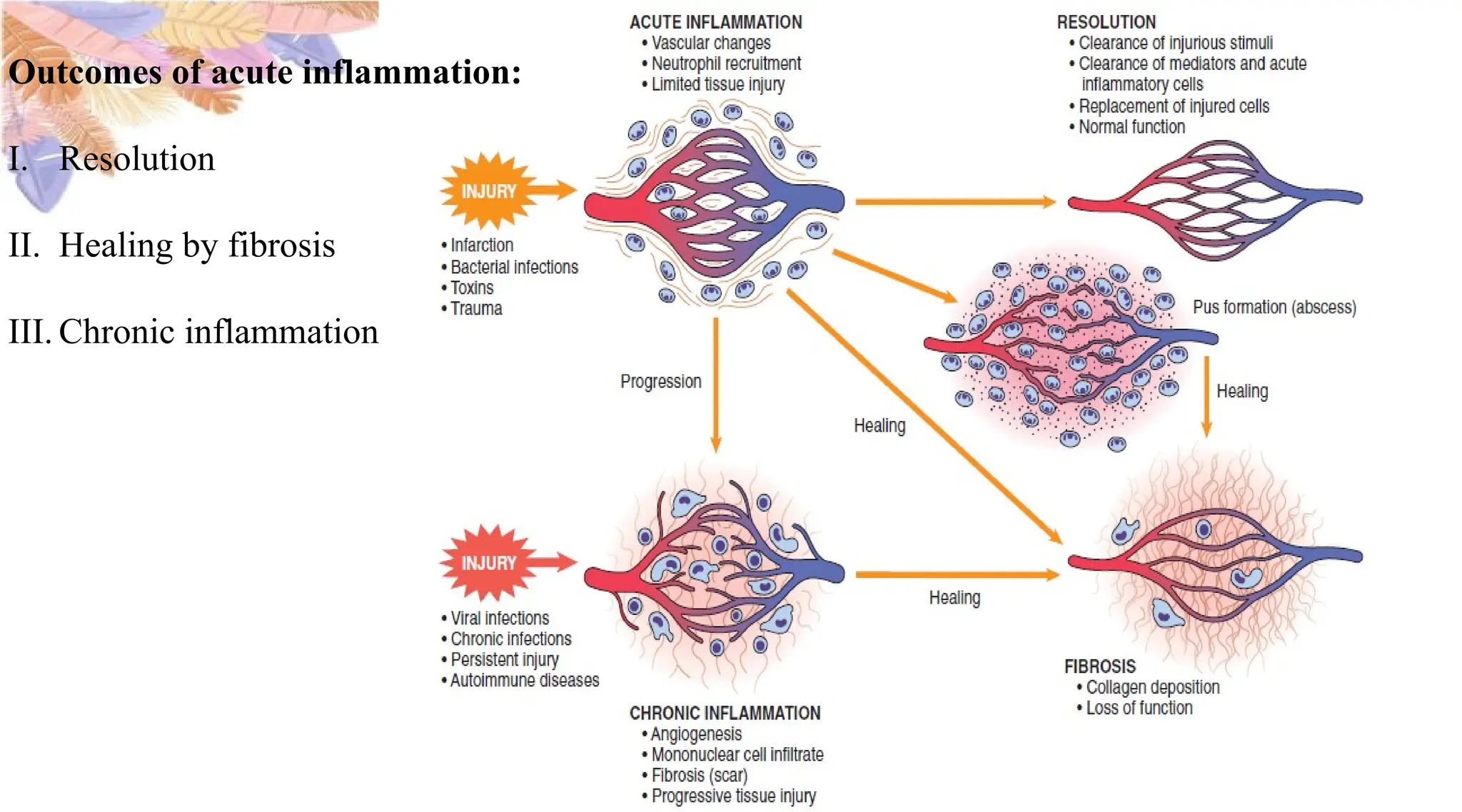 ROLE OF COMPLEMENT SYSTEM IN ACUTE INFLAMMATION.pptx