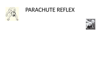PARACHUTE REFLEX
 