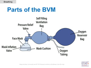 Flow Inflating Bagh 6. Newborn Resuscitation - April 2021.pptx