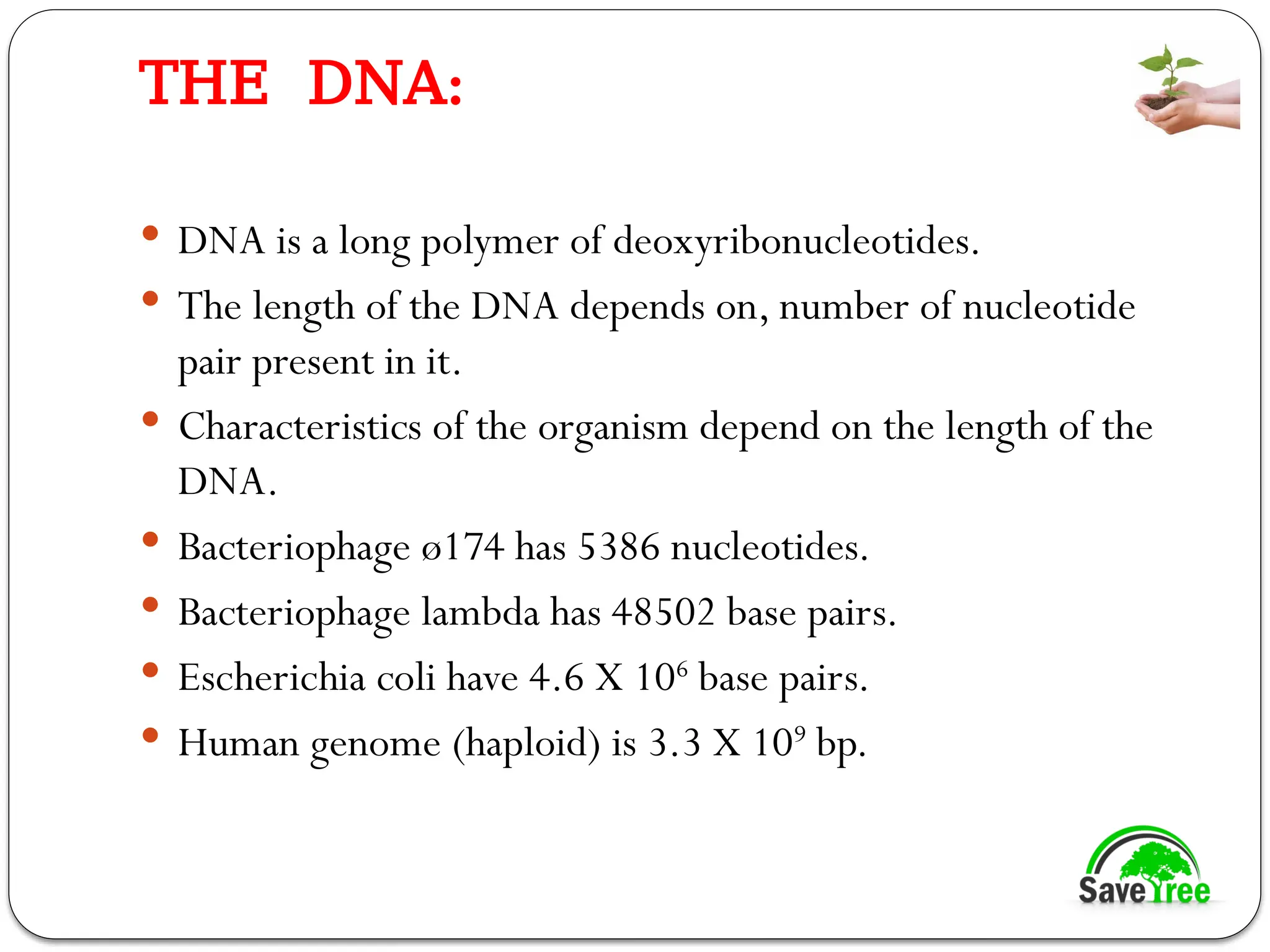 THE DNA:
 DNA is a long polymer of deoxyribonucleotides.
 The length of the DNA depends on, number of nucleotide
pair present in it.
 Characteristics of the organism depend on the length of the
DNA.
 Bacteriophage ø174 has 5386 nucleotides.
 Bacteriophage lambda has 48502 base pairs.
 Escherichia coli have 4.6 X 106
base pairs.
 Human genome (haploid) is 3.3 X 109
bp.
 