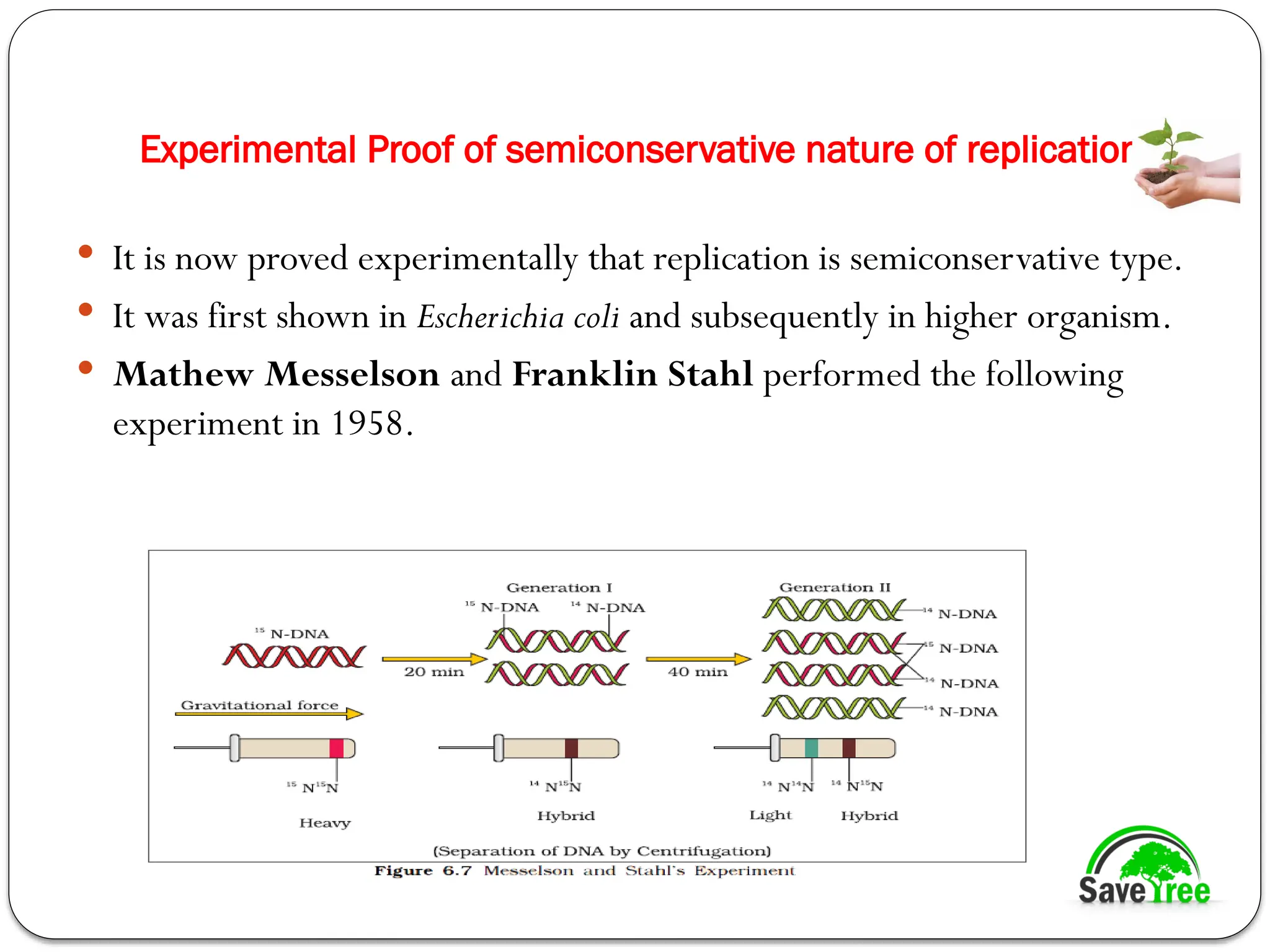 Experimental Proof of semiconservative nature of replication:
 It is now proved experimentally that replication is semiconservative type.
 It was first shown in Escherichia coli and subsequently in higher organism.
 Mathew Messelson and Franklin Stahl performed the following
experiment in 1958.
 