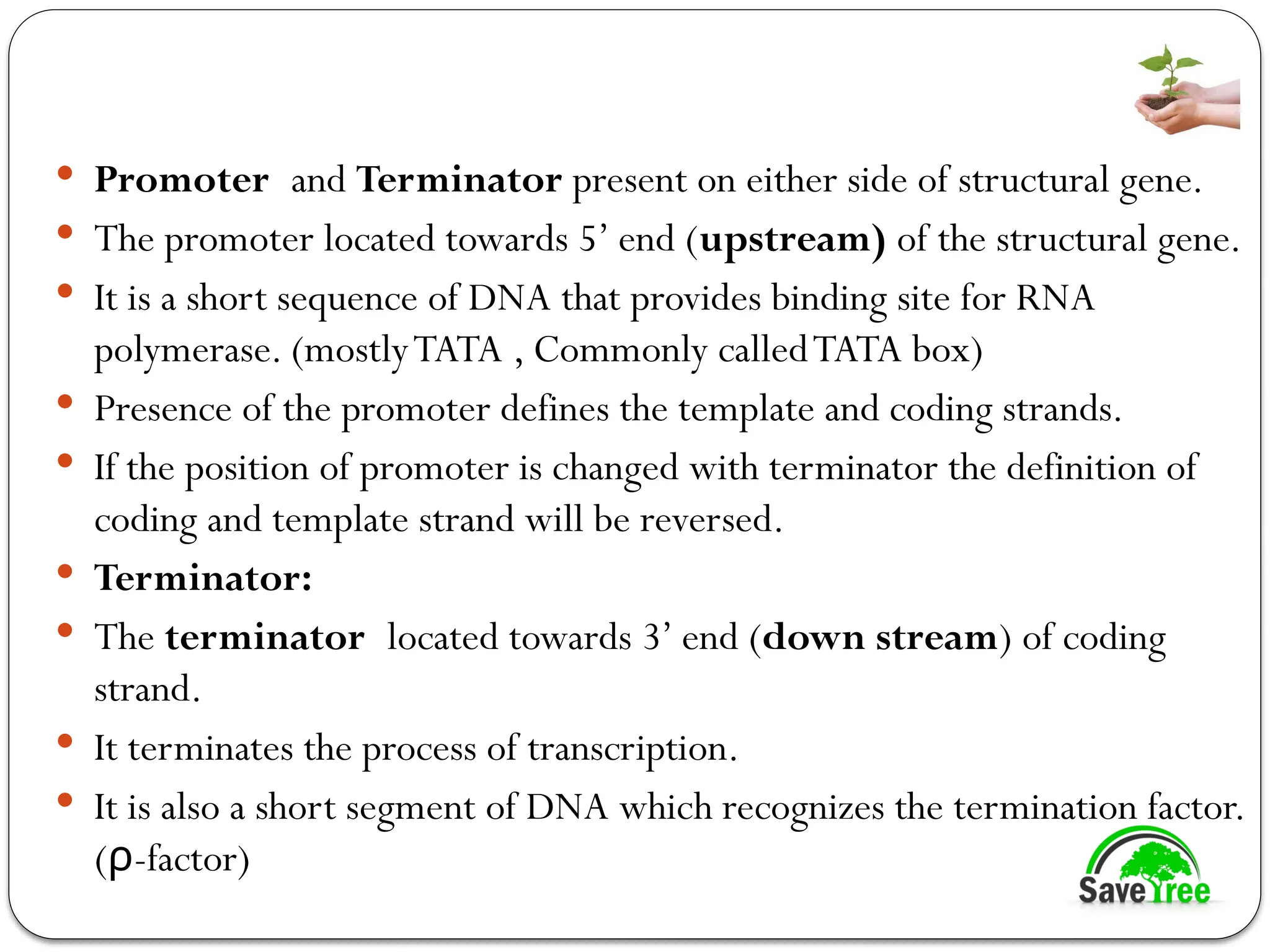  Promoter and Terminator present on either side of structural gene.
 The promoter located towards 5’ end (upstream) of the structural gene.
 It is a short sequence of DNA that provides binding site for RNA
polymerase. (mostlyTATA , Commonly calledTATA box)
 Presence of the promoter defines the template and coding strands.
 If the position of promoter is changed with terminator the definition of
coding and template strand will be reversed.
 Terminator:
 The terminator located towards 3’ end (down stream) of coding
strand.
 It terminates the process of transcription.
 It is also a short segment of DNA which recognizes the termination factor.
( -factor)
ρ
 