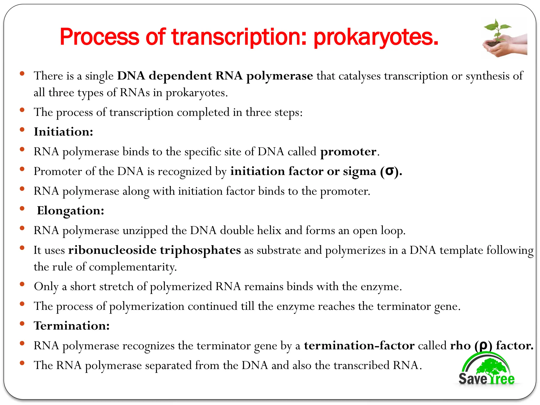 Process of transcription: prokaryotes.
 There is a single DNA dependent RNA polymerase that catalyses transcription or synthesis of
all three types of RNAs in prokaryotes.
 The process of transcription completed in three steps:
 Initiation:
 RNA polymerase binds to the specific site of DNA called promoter.
 Promoter of the DNA is recognized by initiation factor or sigma ( ).
σ
 RNA polymerase along with initiation factor binds to the promoter.
 Elongation:
 RNA polymerase unzipped the DNA double helix and forms an open loop.
 It uses ribonucleoside triphosphates as substrate and polymerizes in a DNA template following
the rule of complementarity.
 Only a short stretch of polymerized RNA remains binds with the enzyme.
 The process of polymerization continued till the enzyme reaches the terminator gene.
 Termination:
 RNA polymerase recognizes the terminator gene by a termination-factor called rho ( ) factor.
ρ
 The RNA polymerase separated from the DNA and also the transcribed RNA.
 