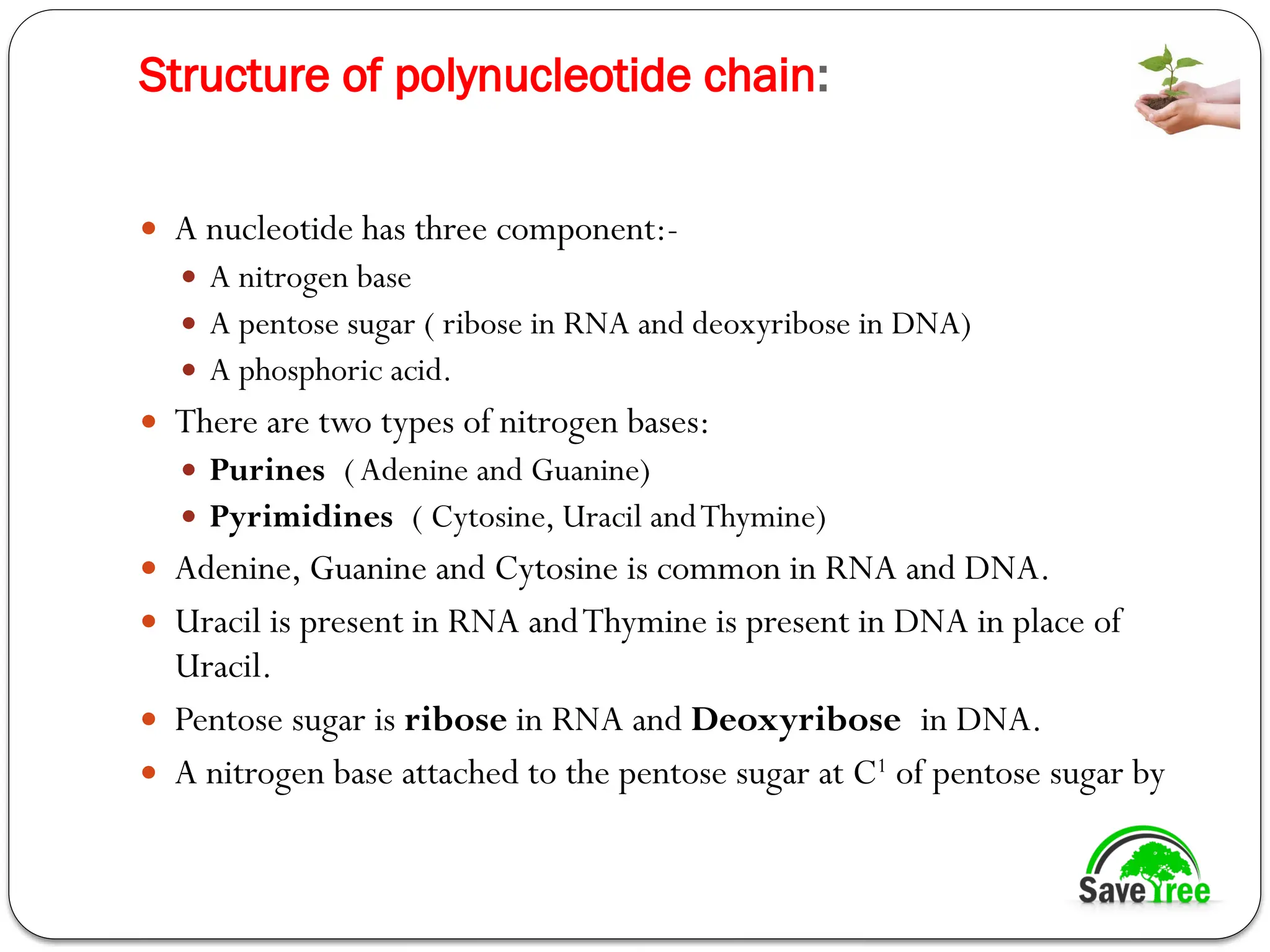 Structure of polynucleotide chain:
 A nucleotide has three component:-
 A nitrogen base
 A pentose sugar ( ribose in RNA and deoxyribose in DNA)
 A phosphoric acid.
 There are two types of nitrogen bases:
 Purines (Adenine and Guanine)
 Pyrimidines ( Cytosine, Uracil andThymine)
 Adenine, Guanine and Cytosine is common in RNA and DNA.
 Uracil is present in RNA andThymine is present in DNA in place of
Uracil.
 Pentose sugar is ribose in RNA and Deoxyribose in DNA.
 A nitrogen base attached to the pentose sugar at C1
of pentose sugar by
 