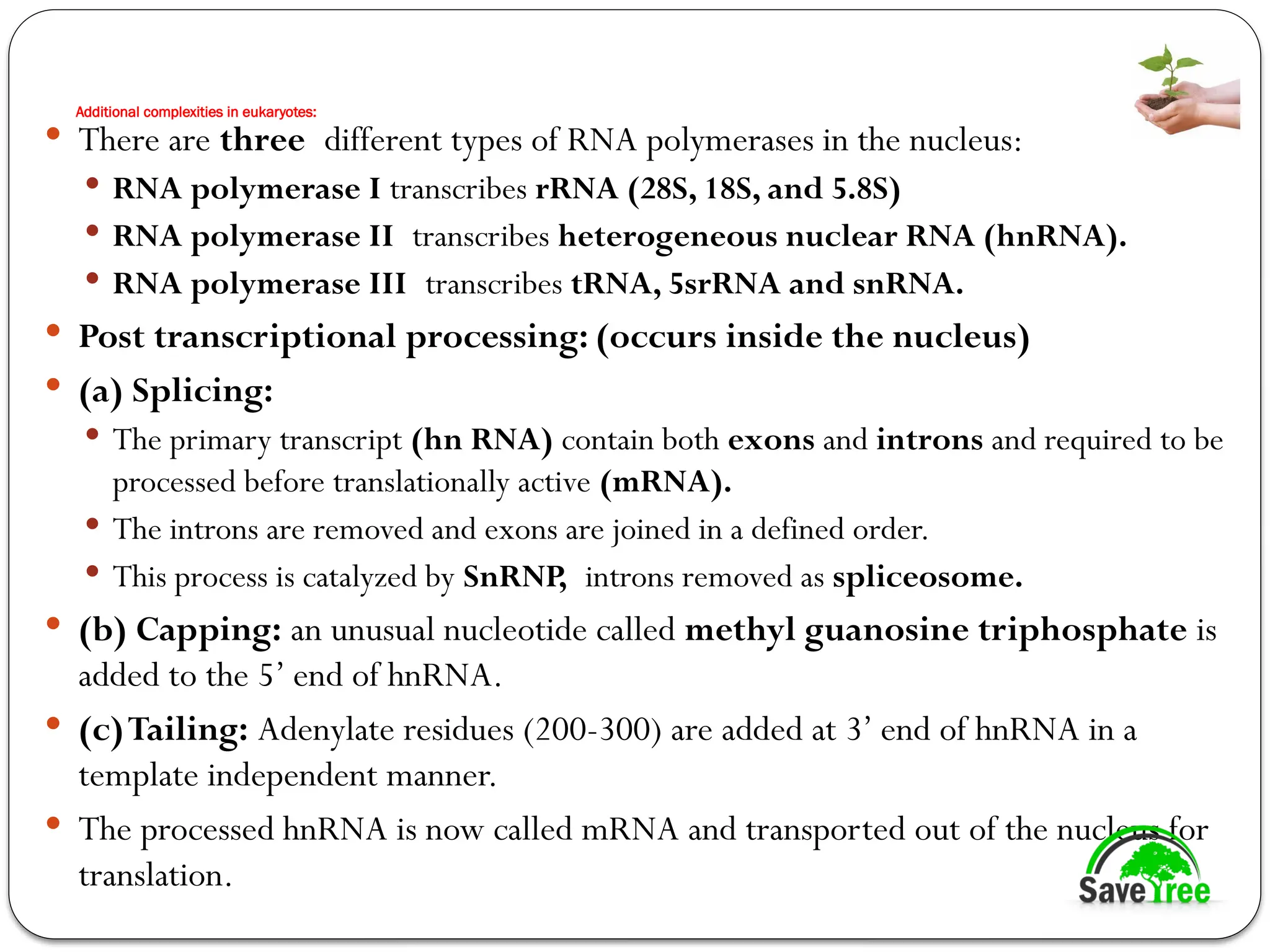 Additional complexities in eukaryotes:
 There are three different types of RNA polymerases in the nucleus:
 RNA polymerase I transcribes rRNA (28S, 18S, and 5.8S)
 RNA polymerase II transcribes heterogeneous nuclear RNA (hnRNA).
 RNA polymerase III transcribes tRNA, 5srRNA and snRNA.
 Post transcriptional processing: (occurs inside the nucleus)
 (a) Splicing:
 The primary transcript (hn RNA) contain both exons and introns and required to be
processed before translationally active (mRNA).
 The introns are removed and exons are joined in a defined order.
 This process is catalyzed by SnRNP, introns removed as spliceosome.
 (b) Capping: an unusual nucleotide called methyl guanosine triphosphate is
added to the 5’ end of hnRNA.
 (c)Tailing: Adenylate residues (200-300) are added at 3’ end of hnRNA in a
template independent manner.
 The processed hnRNA is now called mRNA and transported out of the nucleus for
translation.
 