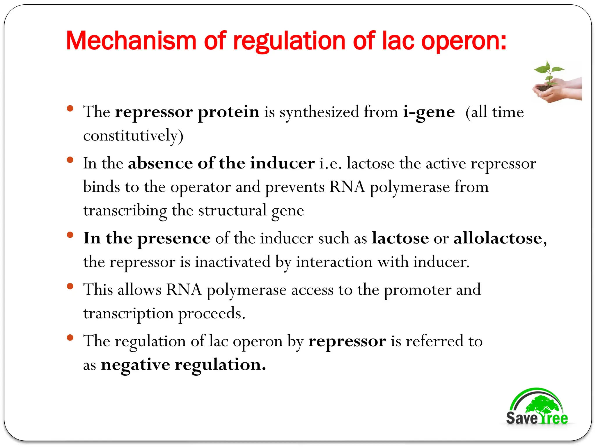 Mechanism of regulation of lac operon:
 The repressor protein is synthesized from i-gene (all time
constitutively)
 In the absence of the inducer i.e. lactose the active repressor
binds to the operator and prevents RNA polymerase from
transcribing the structural gene
 In the presence of the inducer such as lactose or allolactose,
the repressor is inactivated by interaction with inducer.
 This allows RNA polymerase access to the promoter and
transcription proceeds.
 The regulation of lac operon by repressor is referred to
as negative regulation.
 