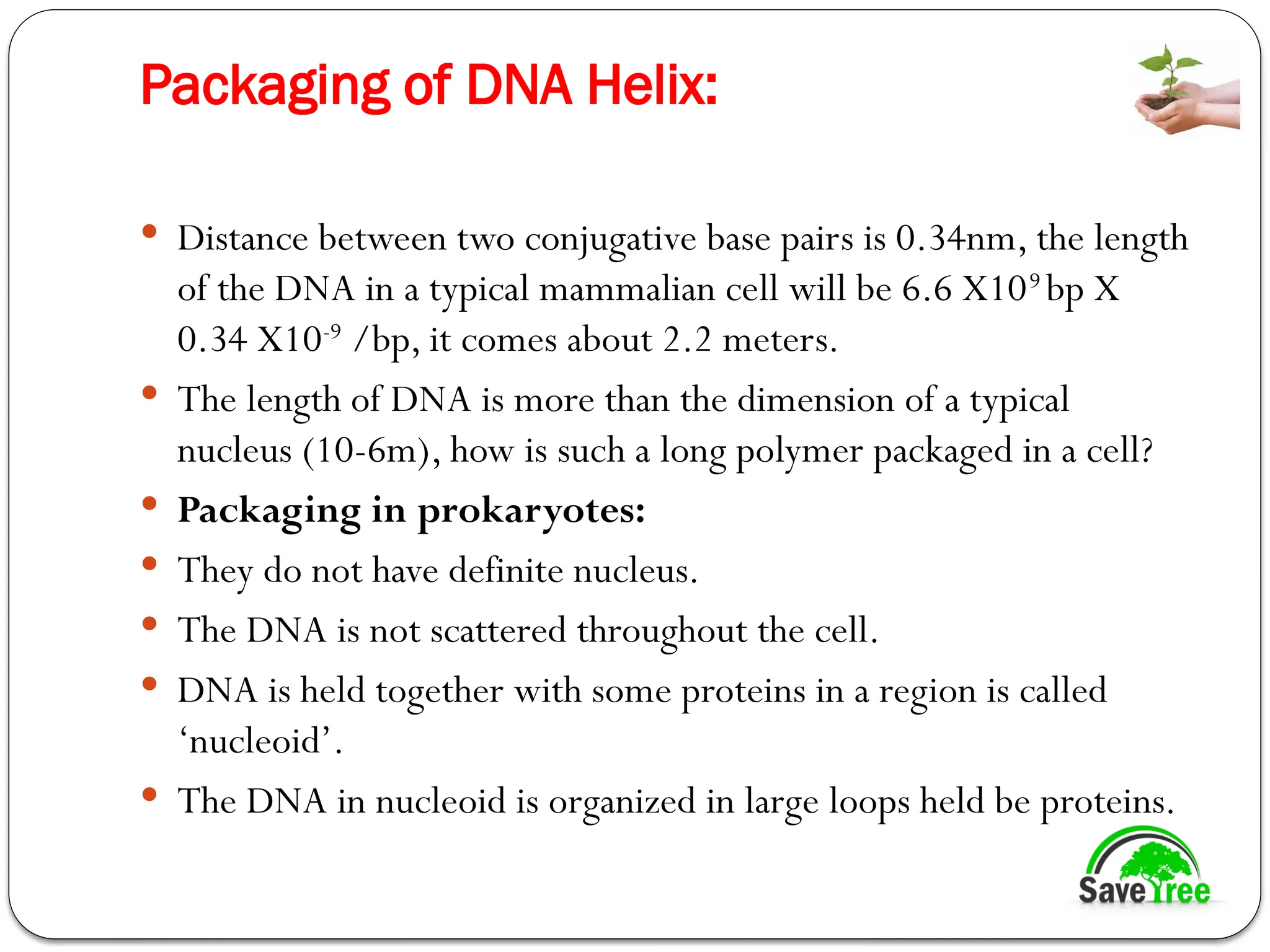 Packaging of DNA Helix:
 Distance between two conjugative base pairs is 0.34nm, the length
of the DNA in a typical mammalian cell will be 6.6 X109
bp X
0.34 X10-9
/bp, it comes about 2.2 meters.
 The length of DNA is more than the dimension of a typical
nucleus (10-6m), how is such a long polymer packaged in a cell?
 Packaging in prokaryotes:
 They do not have definite nucleus.
 The DNA is not scattered throughout the cell.
 DNA is held together with some proteins in a region is called
‘nucleoid’.
 The DNA in nucleoid is organized in large loops held be proteins.
 