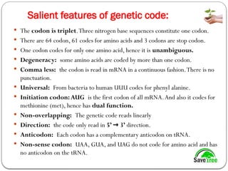 Class 12 Molecular Basis of Inheritance.pptx