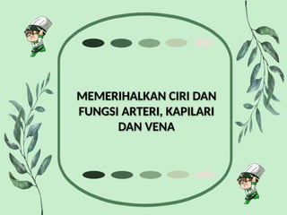 MEMERIHALKAN CIRI DAN
FUNGSI ARTERI, KAPILARI
DAN VENA
 
