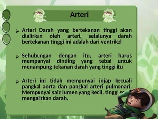 Arteri
⮚ Arteri Darah yang bertekanan tinggi akan
dialirkan oleh arteri, selalunya darah
bertekanan tinggi ini adalah dari ventrikel
⮚ Sehubungan dengan itu, arteri harus
mempunyai dinding yang tebal untuk
menampung tekanan darah yang tinggi itu
⮚ Arteri ini tidak mempunyai injap kecuali
pangkal aorta dan pangkal arteri pulmonari.
Mempunyai saiz lumen yang kecil, tinggi serta
mengalirkan darah.
 
