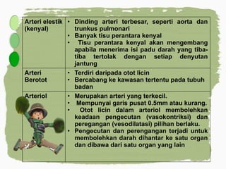 Arteri elestik
(kenyal)
• Dinding arteri terbesar, seperti aorta dan
trunkus pulmonari
• Banyak tisu perantara kenyal
• Tisu perantara kenyal akan mengembang
apabila menerima isi padu darah yang tiba-
tiba tertolak dengan setiap denyutan
jantung
Arteri
Berotot
• Terdiri daripada otot licin
• Bercabang ke kawasan tertentu pada tubuh
badan
Arteriol • Merupakan arteri yang terkecil.
• Mempunyai garis pusat 0.5mm atau kurang.
• Otot licin dalam arteriol membolehkan
keadaan pengecutan (vasokontriksi) dan
peregangan (vesodilatasi) pilihan berlaku.
• Pengecutan dan perengangan terjadi untuk
membolehkan darah dihantar ke satu organ
dan dibawa dari satu organ yang lain
 