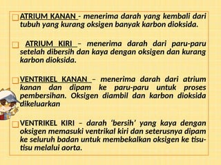 ❑ATRIUM KANAN - menerima darah yang kembali dari
tubuh yang kurang oksigen banyak karbon dioksida.
❑ ATRIUM KIRI – menerima darah dari paru-paru
setelah dibersih dan kaya dengan oksigen dan kurang
karbon dioksida.
❑VENTRIKEL KANAN – menerima darah dari atrium
kanan dan dipam ke paru-paru untuk proses
pembersihan. Oksigen diambil dan karbon dioksida
dikeluarkan
❑VENTRIKEL KIRI – darah ‘bersih’ yang kaya dengan
oksigen memasuki ventrikal kiri dan seterusnya dipam
ke seluruh badan untuk membekalkan oksigen ke tisu-
tisu melalui aorta.
 