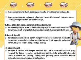 ❑ Jantung menerima darah beroksigen melalui arteri koroneri iaitu aorta.
❑ Jantung mempunyai beberapa injap yang memastikan darah yang memasuki
jantung mengalir dalam satu arah sahaja.
1. Injap Sabit dan Injap pulmonari @ Injap Semilunar
⮚ Terletak di pangkal arteri pulmonari dan pangkal aorta untuk memastikan
darah yang telah mengalir keluar dari jantung tidak mengalir balik semula.
2. Injap Trikuspid
⮚ Terletak di antara atrium kanan dengan ventrikel kanan untuk memastikan
darah yang mengalir ke dalam ventrikel kanan tidak mengalir balik atrium
kanan. Injap ini terdiri daripada tiga cuping.
3. Injap Bikuspid
⮚ Terletak di atrium kiri dengan ventrikel kiri untuk memastikan darah yang
mengalir ke dalam ventrikel kiri tidak mengalir balik ke atrium kiri. Injap ini
terdiri daripada dua cuping.Dinding otot jantung terdiri daripada lapisan
epikardium miokardium dan endokardium
 