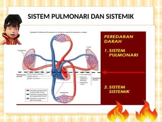 SISTEM PULMONARI DAN SISTEMIK
 