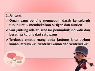 1. Jantung
✔Organ yang penting mengepam darah ke seluruh
tubuh untuk membekalkan oksigen dan nutrien
✔Saiz jantung adalah sebesar penumbuk individu dan
beratnya kurang dari satu paun
✔Terdapat empat ruang pada jantung iaitu atrium
kanan, atrium kiri, ventrikel kanan dan ventrikel kiri
 