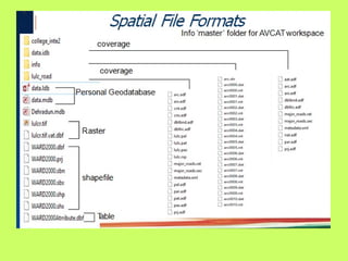 6.Raster and vector data classification and uses | PPT