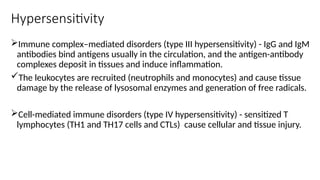 Hypersensitivity
Immune complex–mediated disorders (type III hypersensitivity) - IgG and IgM
antibodies bind antigens usually in the circulation, and the antigen-antibody
complexes deposit in tissues and induce inflammation.
The leukocytes are recruited (neutrophils and monocytes) and cause tissue
damage by the release of lysosomal enzymes and generation of free radicals.
Cell-mediated immune disorders (type IV hypersensitivity) - sensitized T
lymphocytes (TH1 and TH17 cells and CTLs) cause cellular and tissue injury.
 