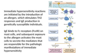Immediate hypersensitivity reactions
are initiated by the introduction of
an allergen, which stimulates TH2
responses and IgE production in
genetically susceptible individuals.
IgE binds to Fc receptors (FcεRI) on
mast cells, and subsequent exposure
to the allergen activates the mast
cells to secrete the mediators that
are responsible for the pathologic
manifestations of immediate
hypersensitivity
 