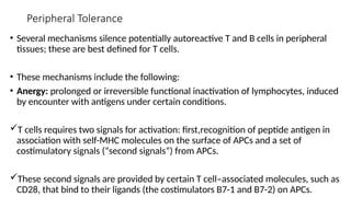 Peripheral Tolerance
• Several mechanisms silence potentially autoreactive T and B cells in peripheral
tissues; these are best defined for T cells.
• These mechanisms include the following:
• Anergy: prolonged or irreversible functional inactivation of lymphocytes, induced
by encounter with antigens under certain conditions.
T cells requires two signals for activation: first,recognition of peptide antigen in
association with self-MHC molecules on the surface of APCs and a set of
costimulatory signals (“second signals”) from APCs.
These second signals are provided by certain T cell–associated molecules, such as
CD28, that bind to their ligands (the costimulators B7-1 and B7-2) on APCs.
 