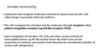Innate immunity
• Leukocytes also recognize molecules released by injured and necrotic cells
called danger-associated molecular patterns.
• The cells recognize the microbes and the molecules through receptors called
pattern recognition receptors (eg toll-like receptors (TLR)).
• Upon recognition of microbes, the TLRs and other sensors activate of
transcription factors, eg NF-κB (nuclear factor κB) which turns on the
production of cytokines and proteins that stimulate the microbicidal activities of
various cells (phagocytes).
 