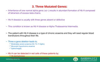 19
04/03/2025 05:02 PM
3. Three Mutated Genes:
– Inheritance of one normal alpha gene (-α/--) results in abundant formation of Hb H composed
of tetramers of excess beta chains.
– Hb H disease is usually with three genes absent or defective
– This condition is known as Hb H disease or Alpha Thalassemia Intermedia.
– The patient with Hb H disease is a type of chronic anaemia and they will need regular blood
transfusions throughout their life.
– Three α gene deletion leads to;
 Moderately severe anaemia (Hb 7.0–11.0g/dL)
 Microcytic hypochromic anaemia
 Splenomegaly
– Hb H can be detected in red cells of these patients by;
 Hb electrophoresis
 Reticulocyte preparations using a supravital staining
 