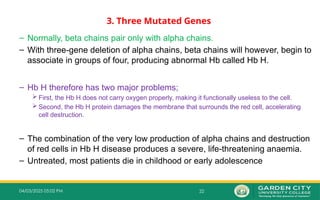 22
04/03/2025 05:02 PM
3. Three Mutated Genes
– Normally, beta chains pair only with alpha chains.
– With three-gene deletion of alpha chains, beta chains will however, begin to
associate in groups of four, producing abnormal Hb called Hb H.
– Hb H therefore has two major problems;
 First, the Hb H does not carry oxygen properly, making it functionally useless to the cell.
 Second, the Hb H protein damages the membrane that surrounds the red cell, accelerating
cell destruction.
– The combination of the very low production of alpha chains and destruction
of red cells in Hb H disease produces a severe, life-threatening anaemia.
– Untreated, most patients die in childhood or early adolescence
 