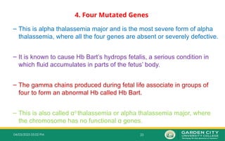 23
04/03/2025 05:02 PM
4. Four Mutated Genes
– This is alpha thalassemia major and is the most severe form of alpha
thalassemia, where all the four genes are absent or severely defective.
– It is known to cause Hb Bart’s hydrops fetalis, a serious condition in
which fluid accumulates in parts of the fetus’ body.
– The gamma chains produced during fetal life associate in groups of
four to form an abnormal Hb called Hb Bart.
– This is also called α0
thalassemia or alpha thalassemia major, where
the chromosome has no functional α genes.
 