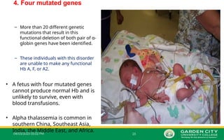 04/03/2025 05:02 PM 25
4. Four mutated genes
– More than 20 different genetic
mutations that result in this
functional deletion of both pair of α-
globin genes have been identified.
– These individuals with this disorder
are unable to make any functional
Hb A, F, or A2.
• A fetus with four mutated genes
cannot produce normal Hb and is
unlikely to survive, even with
blood transfusions.
• Alpha thalassemia is common in
southern China, Southeast Asia,
India, the Middle East, and Africa.
 