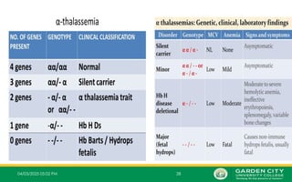 04/03/2025 05:02 PM 28
 