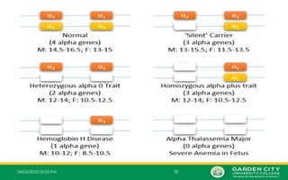 04/03/2025 05:02 PM 30
 