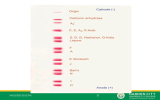 04/03/2025 05:02 PM 32
 