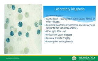 04/03/2025 05:02 PM 33
 