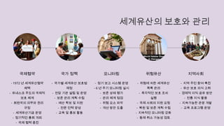 세계유산의 보호와 관리
국제협약
- 1972 년 세계유산협약
채택
- 유네스코 주도의 국제적
보호 체계
- 회원국의 의무와 권리
규정
- 세계유산기금 운영
- 정기적인 총회 개최
- 국제 협력 증진
국가 정책
- 국가별 세계유산 보호법
제정
- 전담 기관 설립 및 운영
- 보존 관리 계획 수립
- 예산 확보 및 지원
- 전문 인력 양성
- 교육 및 홍보 활동
모니터링
- 정기 보고 시스템 운영
- 6 년 주기 모니터링 실시
- 보존 상태 평가
- 관리 체계 점검
- 위험 요소 파악
- 개선 방안 도출
위험유산
- 위험에 처한 세계유산
목록 관리
- 즉각적인 보호 조치
실행
- 국제 사회의 지원 요청
- 복원 및 보존 계획 수립
- 지속적인 모니터링 강화
- 등재 취소 가능성 검토
지역사회
- 지역 주민 참여 촉진
- 유산 보호 의식 고취
- 경제적 이익 공유 방안
- 전통 지식 활용
- 지속가능한 관광 개발
- 교육 프로그램 운영
 