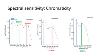 Spectral sensitivity: Chromaticity
440nm
520nm
620nm
570nm 530nm
 