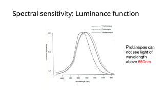 Spectral sensitivity: Luminance function
Protanopes can
not see light of
wavelength
above 660nm
 