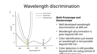 Wavelength discrimination
Both Protanope and
Deuteranope
• Well developed wavelength
discrimination at 490 nm
• Wavelength discrimination is
poor beyond 545 nm
• Color identification just based
on wavelength is not possible
beyond 545 nm.
• Color detection is still possible
beyond 545 nm using stimuli of
4
9
0
5
9
0
 