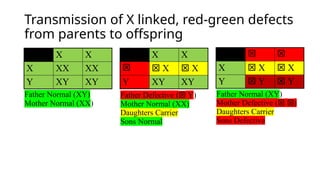 Transmission of X linked, red-green defects
from parents to offspring
X X
X XX XX
Y XY XY
Father Normal (XY)
Mother Normal (XX)
X X
  X  X
Y XY XY
Father Defective ( Y)
Mother Normal (XX)
Daughters Carrier
Sons Normal
 
X  X  X
Y  Y  Y
Father Normal (XY)
Mother Defective ( )
Daughters Carrier
Sons Defective
 