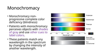 Monochromacy
• Monochromacy non-
progressive complete color
deficiency (blindness)
• Patients with monochromacy
perceives objects with shades
of gray and use other cues to
label colors.
• These patients match any
wavelength in the spectrum
by changing the intensity of
another wavelength.
 
