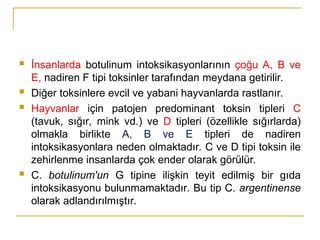 Toksin 6.1.Clostridium botulinum toksin birikimi | PPT