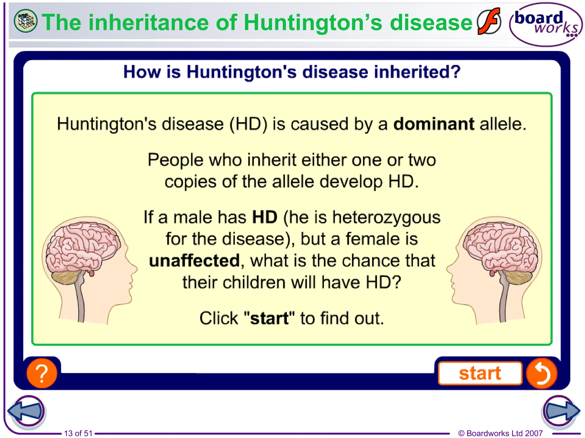 © Boardworks Ltd 2007
13 of 51
The inheritance of Huntington’s disease
 