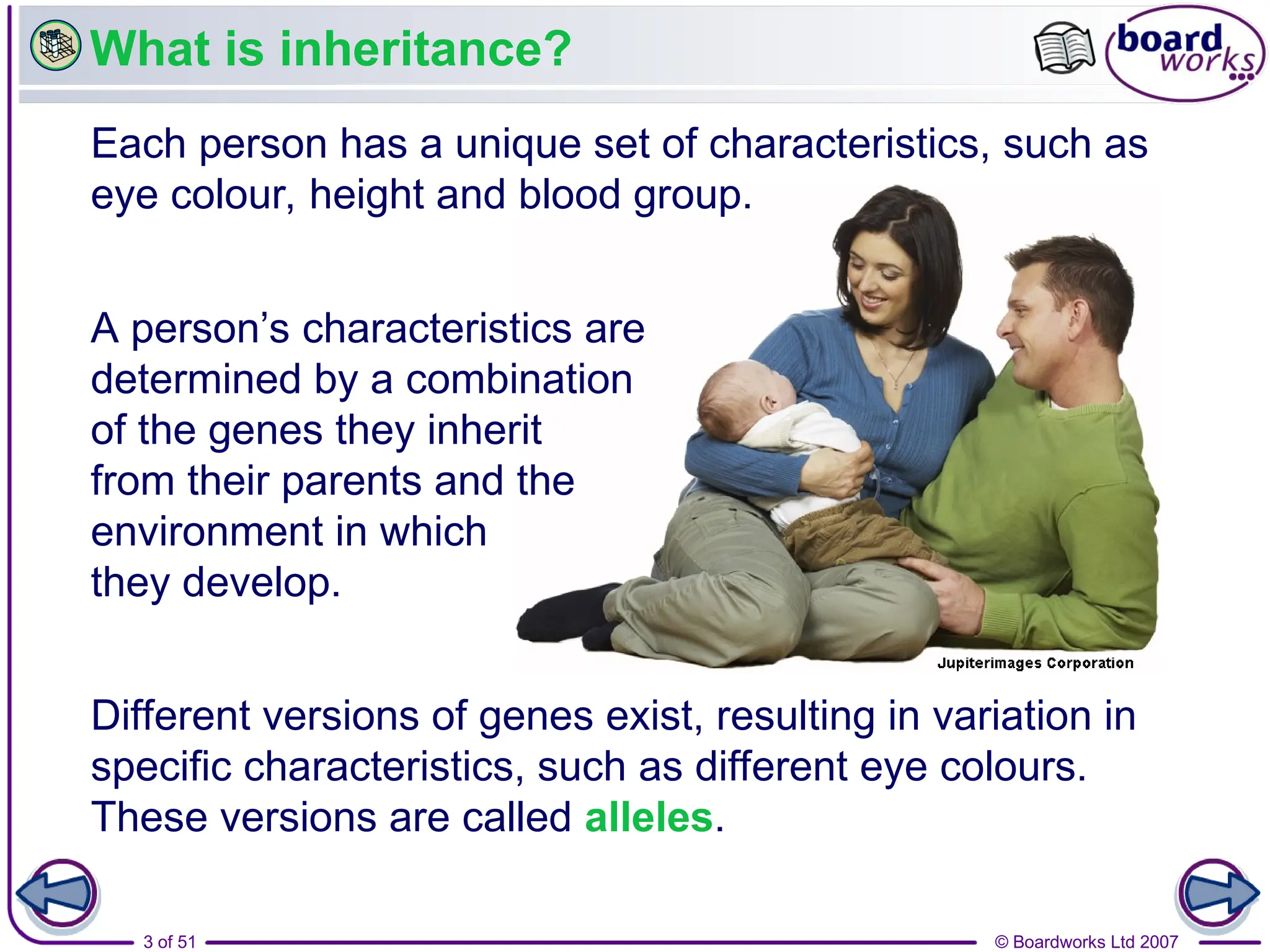 © Boardworks Ltd 2007
3 of 51
What is inheritance?
Different versions of genes exist, resulting in variation in
specific characteristics, such as different eye colours.
These versions are called alleles.
Each person has a unique set of characteristics, such as
eye colour, height and blood group.
A person’s characteristics are
determined by a combination
of the genes they inherit
from their parents and the
environment in which
they develop.
 