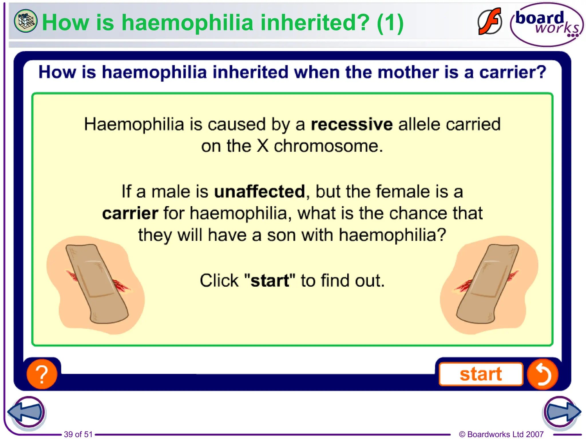 © Boardworks Ltd 2007
39 of 51
How is haemophilia inherited? (1)
 