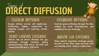 6.Gas-Exchange-in-Animals.Gas exchange involves taking in molecular ...