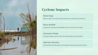 Cyclone Impacts
Storm Surge
Walls of water 3-12 meters high pushed inland, causing severe flooding
Heavy Rainfall
Causes river flooding and landslides, even far inland from the coast
Destructive Winds
Damage buildings, uproot trees, and create dangerous flying debris
Saltwater Intrusion
Contaminates drinking water and damages farmland, reducing soil fertility
 