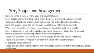 6. Size Shape and Arrangement of Bacteria.pptx