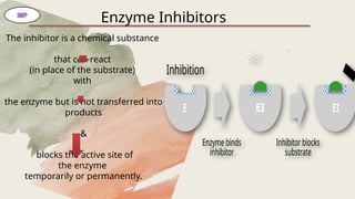 ENZYME Biochemistry Department College of Pharmacy | PPTX