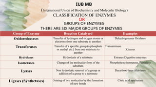ENZYME Biochemistry Department College of Pharmacy | PPTX