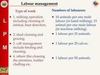 Labour Tasks 6. b._Daily_routines & labour management.ppt