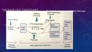 Host Modulation HOST MODULATION THERAPY IN PERIODONTOLOGY.pptx