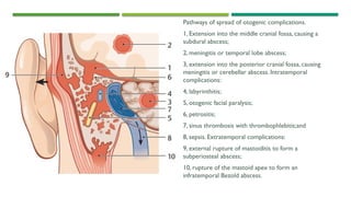 6. Middle ear.pptx anatomy pathophysio disease | PPTX